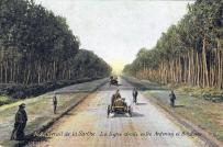 ligne droite entre Ardenay et Bouloire