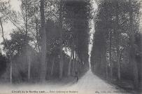 ligne droite entre Ardenay et Bouloire