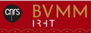 Bibliothèque virtuelle