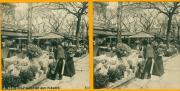 Le marché aux fleurs