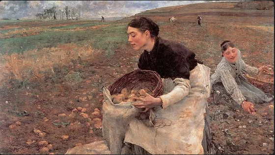 Pommes de terre